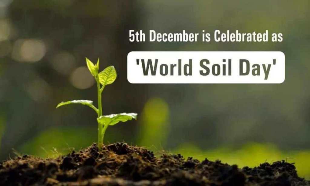 Soils: Where Food Begins