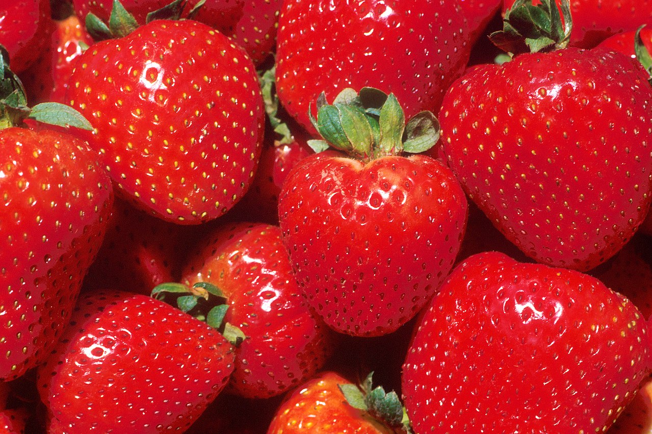 Eating eight strawberries a day can help prevent depression and dementia