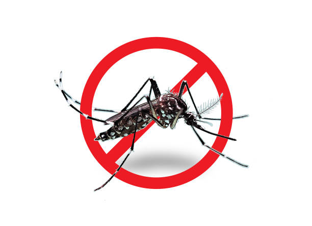 Dengue takes life of a youth in Siliguri