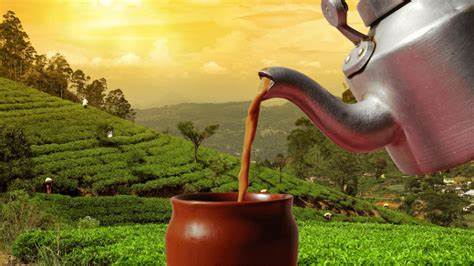 Assam sales 2,300 crore tea in 2023-24 fiscal year