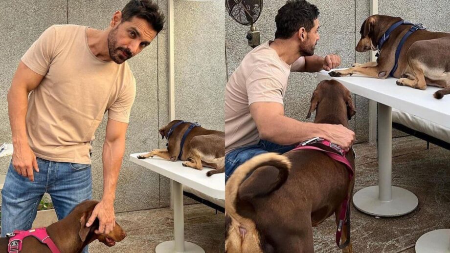John Abraham is known to be a huge animal lover and is a pet parent to his dogs Bailey and Sia