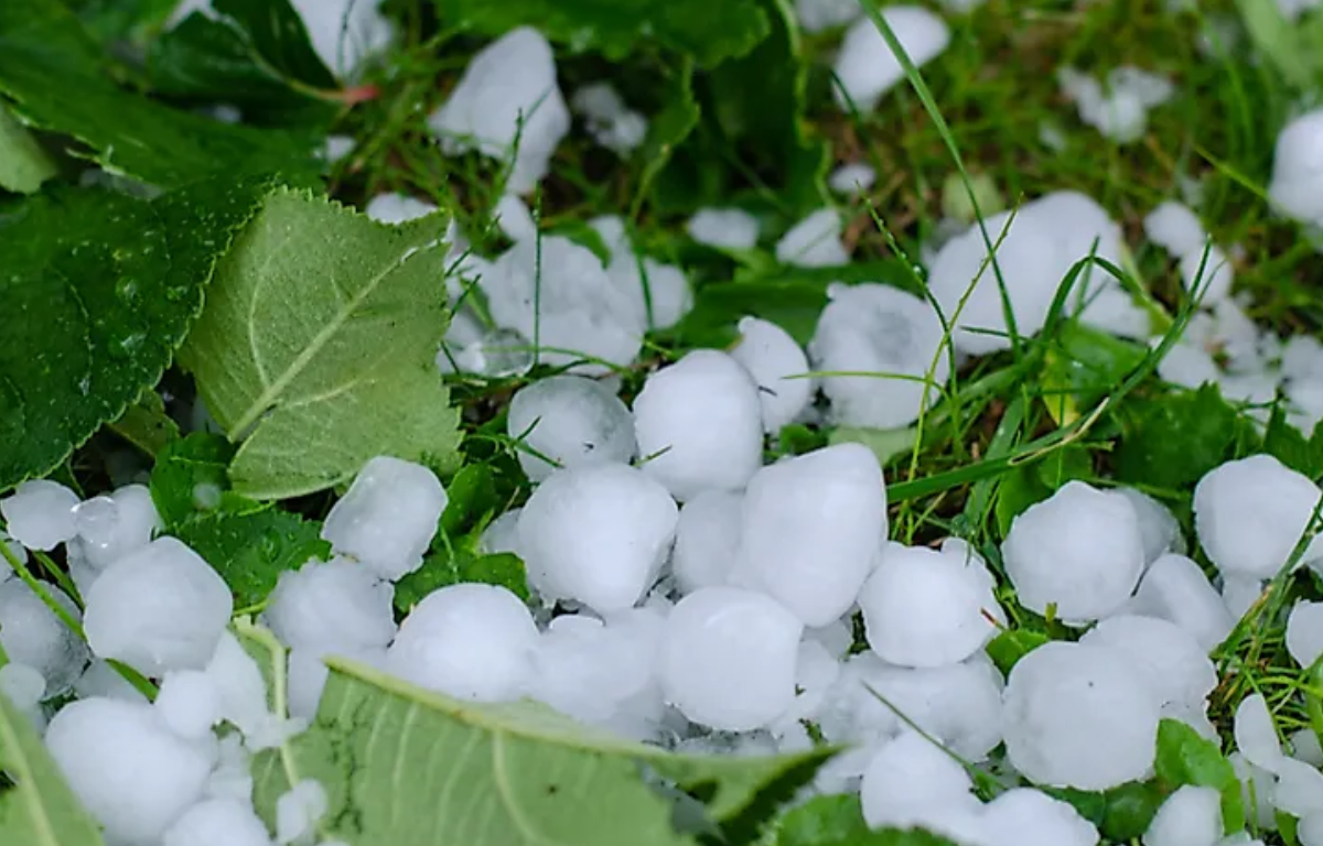 Across multiple states The Indian Meteorological Department (IMD) has issued a warning for possible hailstorms