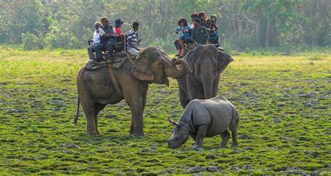 Highest number of tourists in Assam during 2023-24